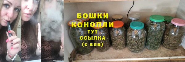 Альфа ПВП Пересвет