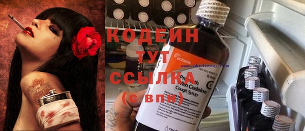 Альфа ПВП Пересвет