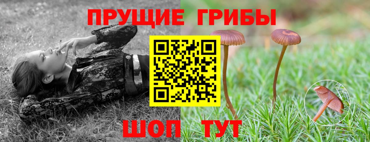 Псилоцибиновые грибы ЛСД Узловая