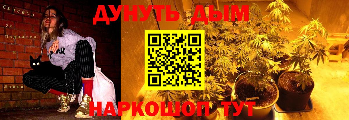Конопля семена  Марихуана Bruce Banner  Вход с VPN  Узловая 
